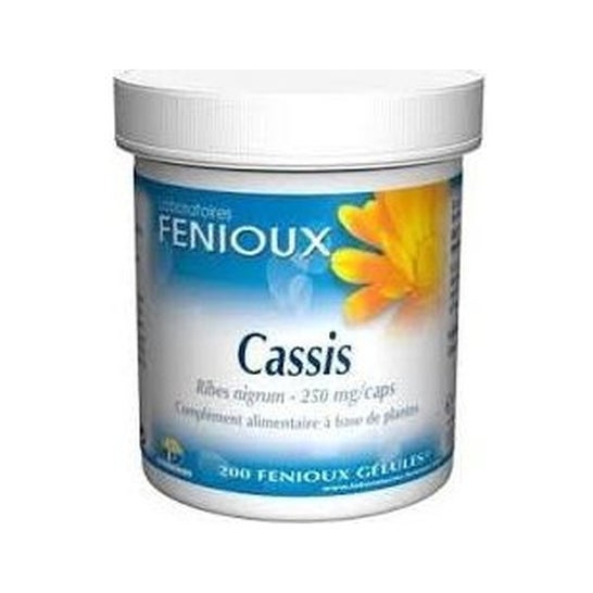Fenioux Grosellero Negro Cassis 200 caps