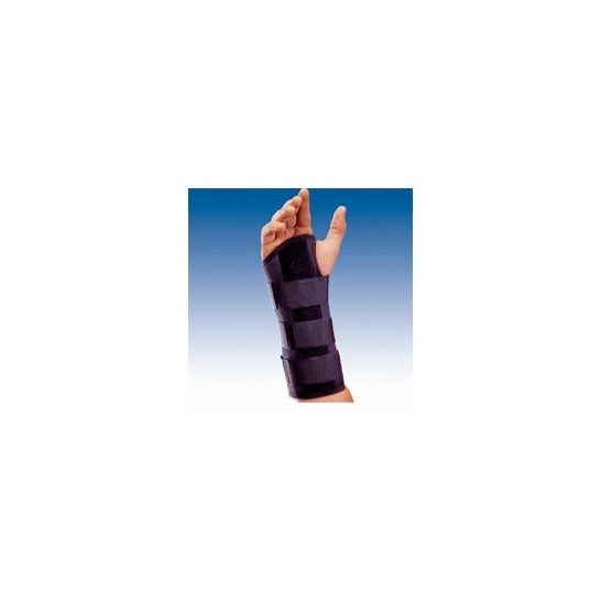 Orliman Muñeq.fer. Inmov.palmar Larga Derecha. T-2 15-17cm