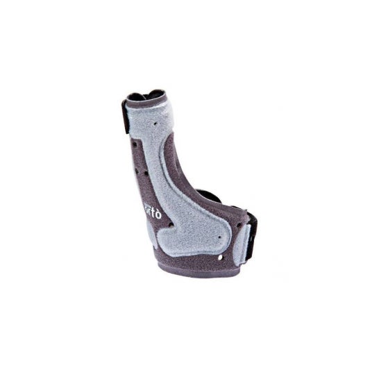 Cizeta Orto Atl Seamless Seamless Inch T2