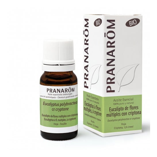 Pranarôm Aceite Esencial de Eucalipto de Flores Múltiples con Criptona BIO 10ml