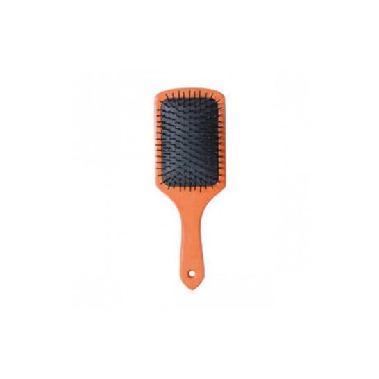 Bifull Cepillo Wood Raqueta grande 1 ud