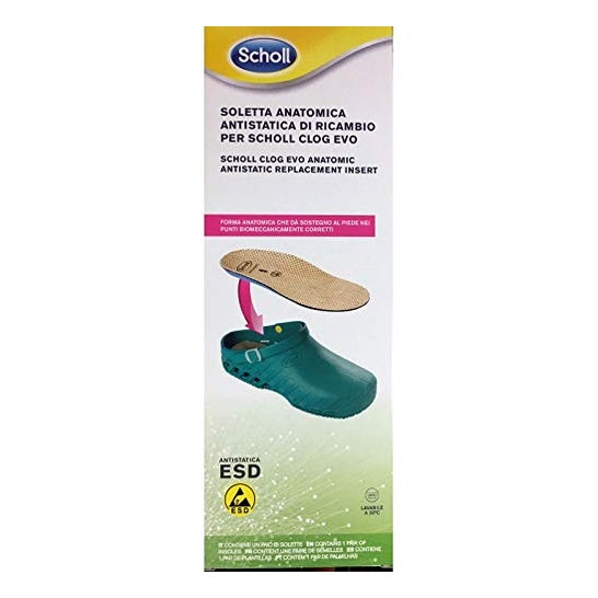 Scholl Clog Evo Evo Anat Ant Ins Mic45-46