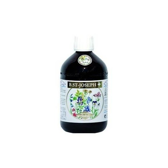 Pianto San Joseph Plus Todah Bio 510 g