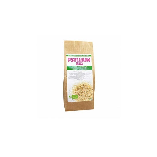 Dr. Theiss Psyllium Blond Bio 300Gr