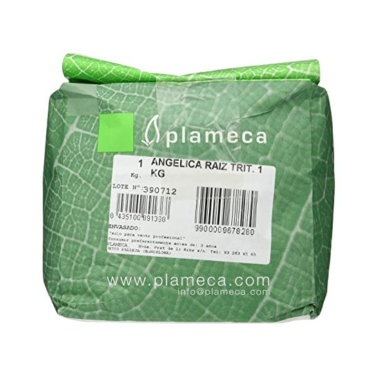 Plameca Angéica Hierba Raíz Trituradas 1Kg