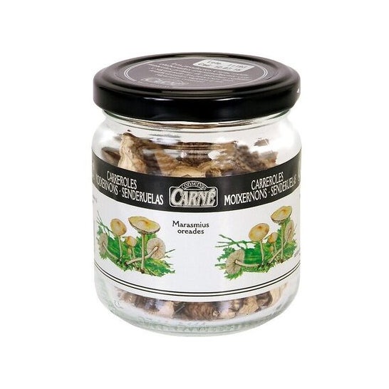 Conservas Carné Dehydrated Mushrooms Bio 15 g