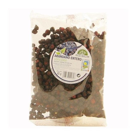Int-Salim Arándano Negro Liofilizado Eco 40 g