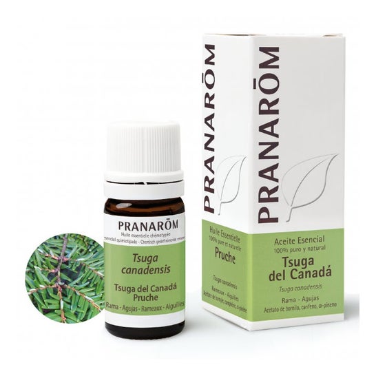 Pranarôm Aceite Esencial de Tsuga del Canadá 5 ml