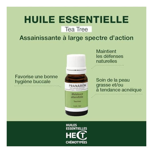 Pranarôm Aceite Esencial de Árbol de Té 10ml