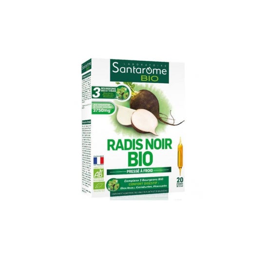 Rábano negro orgánico Santarome Amperio 20