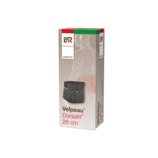 Lohmann & Rauscher Ceinture Lombaire Dorsafit H26 T2 1ud