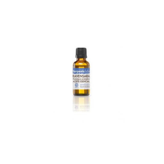 Terpenic Labs Ravensara 30ml