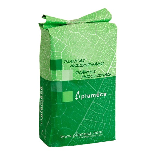 Plameca Llanten Hojas Triturado 1kg