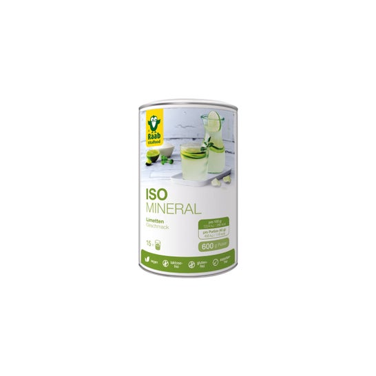 Raab Vitalfood Iso-Mineral Sabor Lima 600g
