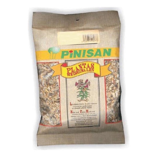 Pinisan Ortiga Verde 40 g