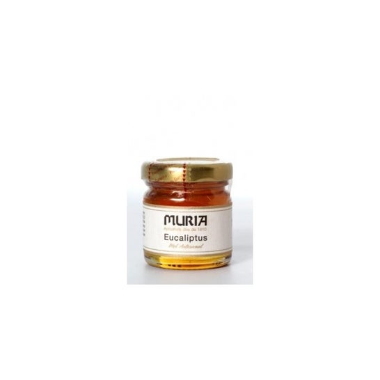 Muria Miel Eucalipto 50g