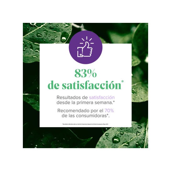 Arkopharma Arkofluido Alcachofa Forte Ultraconcentrado + Aloe Vera 20ampollas