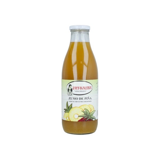 Zumo de piña ecológico de Intracma 1l