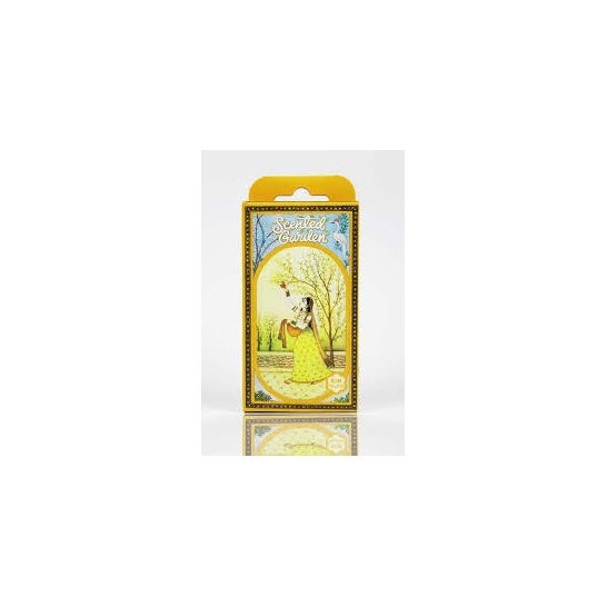 Radhe Shyam Conos Sándalo Garden 100g