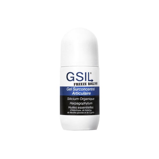 Aquasilice Gsil Freeze Roll'On Gel Concentrado Articular 40ml