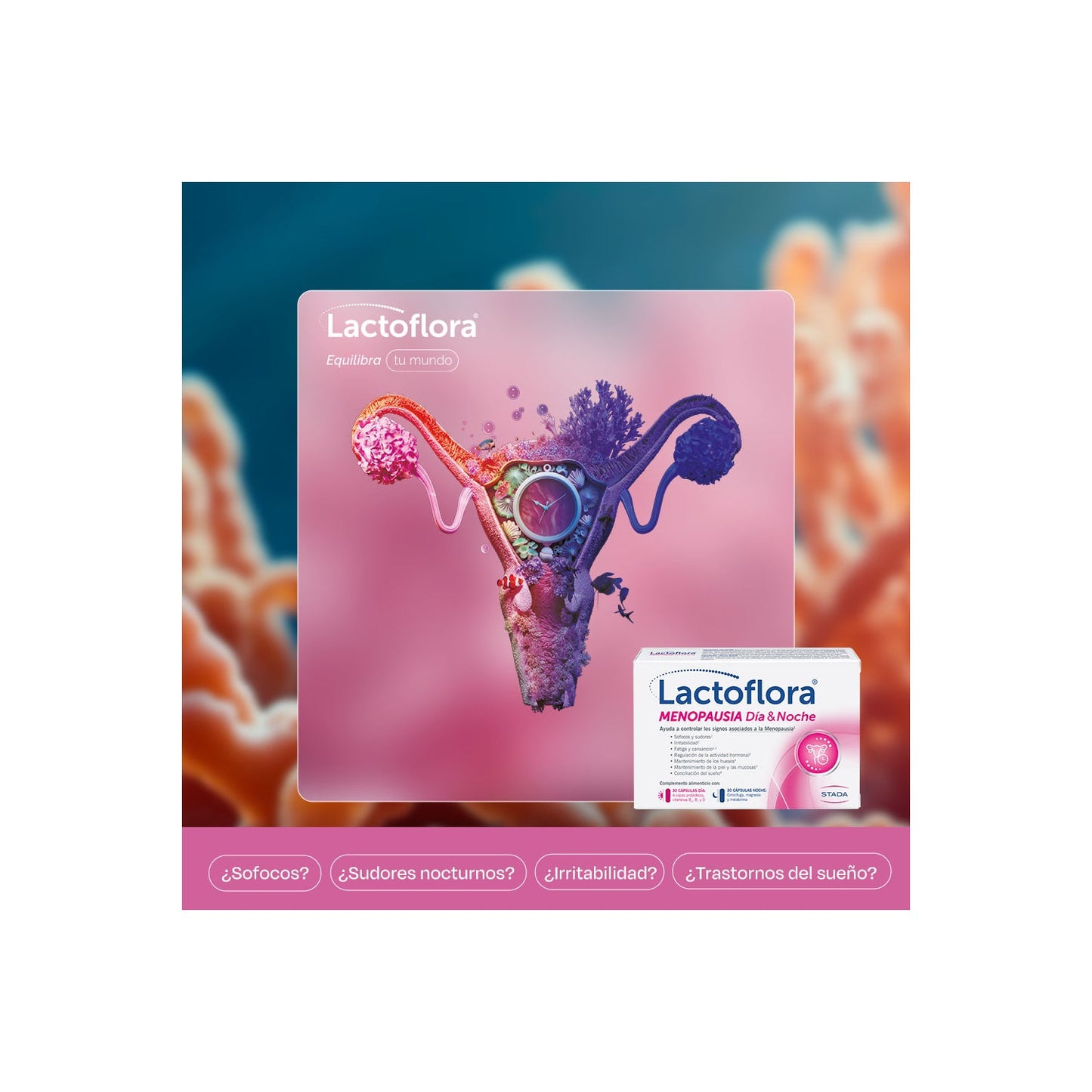 Lactoflora Menopausia Día & Noche 30+30 Cáps
