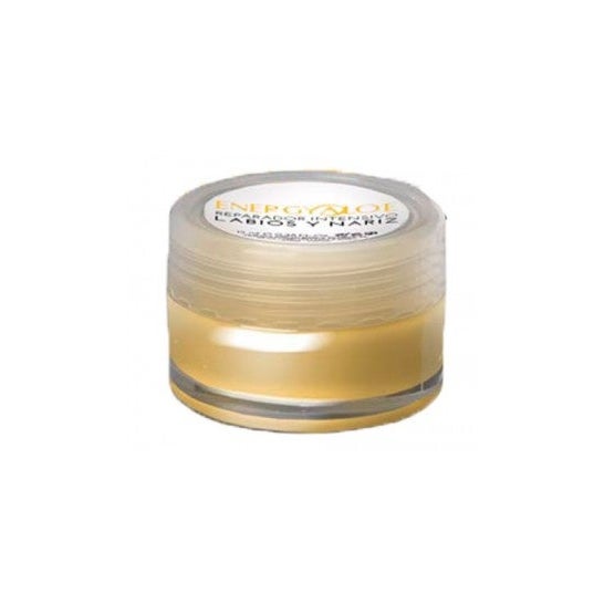 Energyaloe reparador intensivo de labios y nariz 15ml