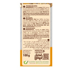 Diet-Radisson Tostadas Avena Alargadas 100 g