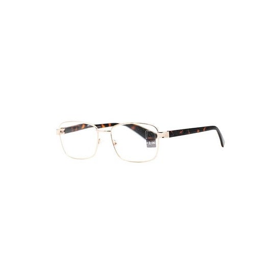 Loubsol Gafas de Lectura Montand +2.50 1ud