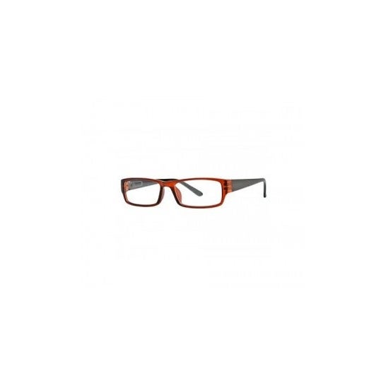 Nordic Vision modelo Sater color marrón y negro dioptrías +2,00 1ud