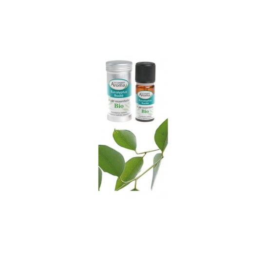 Le Comptoir Aroma Aceite esencial Eucalipto Irradiado Orgánico 10ml