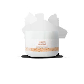 Terpenic Crema Muscular Evo Pro 500ml