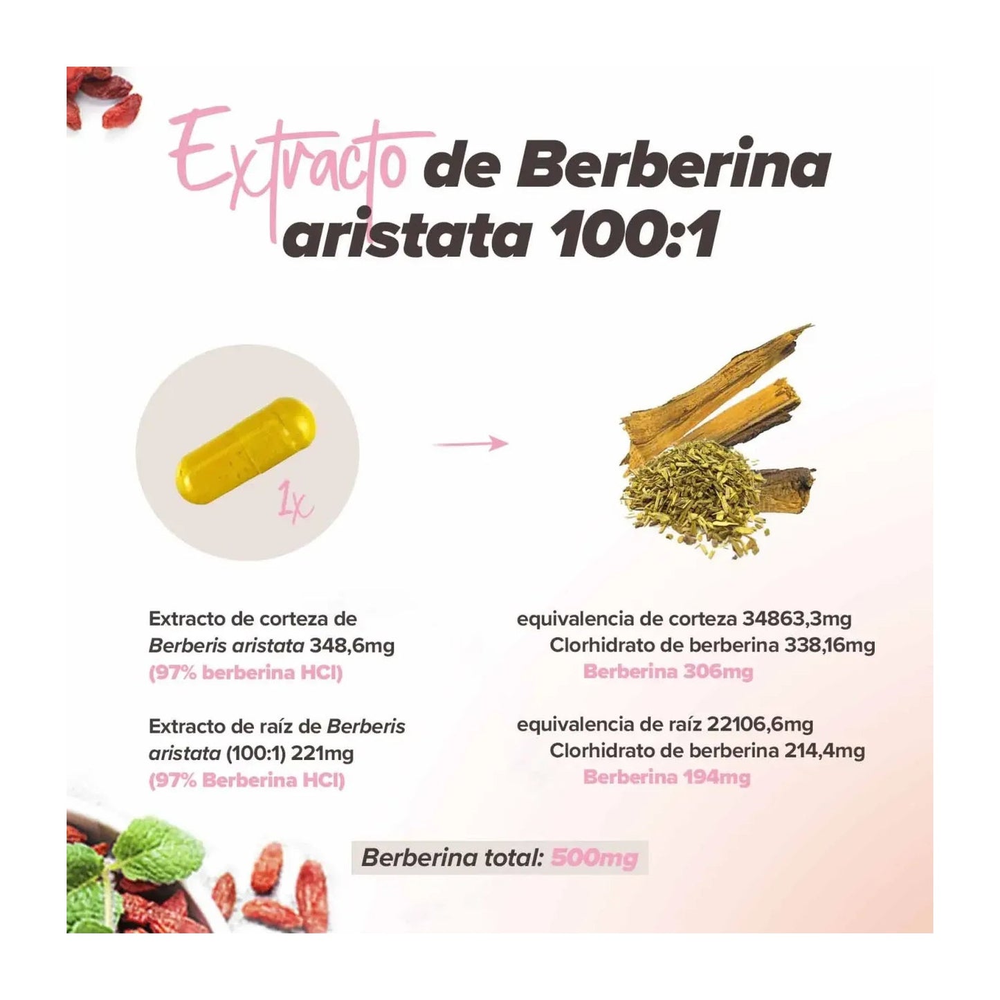 HSN Berberina Complex 500mg 120vcaps