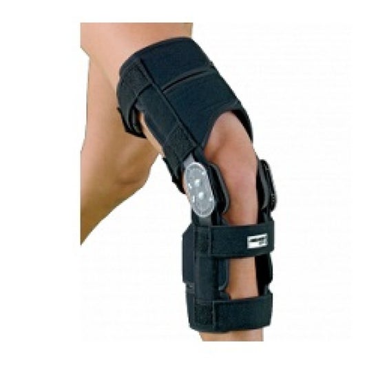 Gibaud Genugib 40 Rodillera Talla Única 1ud