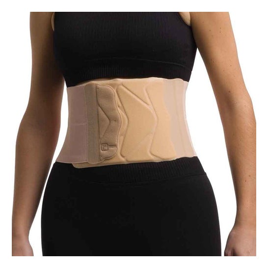 Primspine Faja 2 Bandas Bands Prs602Bg Talla L 1ud