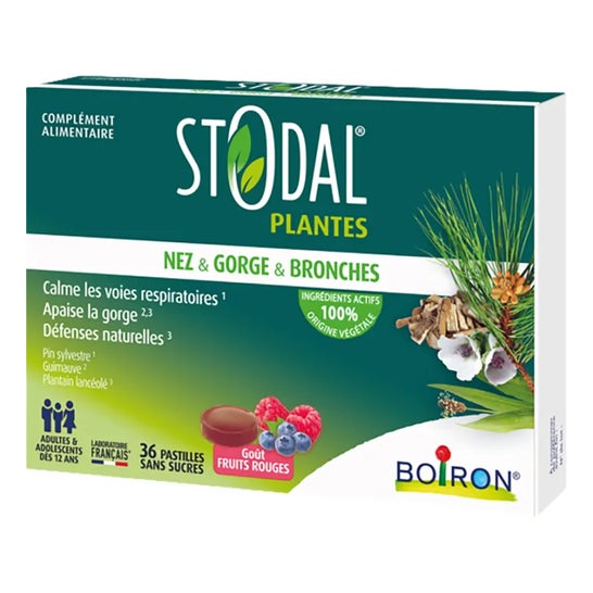 Stodal Plantas Nariz & Garganta & Bronquios Frutos Rojos 36comp