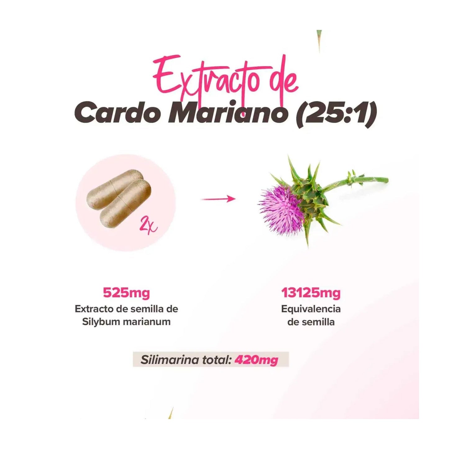HSN Berberina 175mg y Cardo Mariano Silimarina 210mg Complex 120vcaps