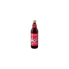 Rabenhorst Protecting Zumo con Zinc 750ml