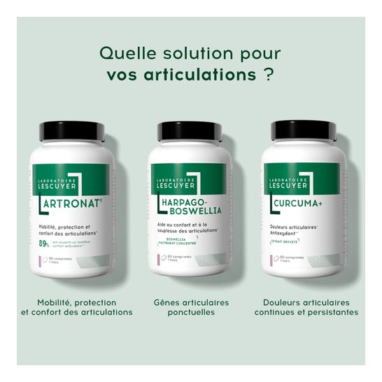 Lescuyer Artronat 90comp