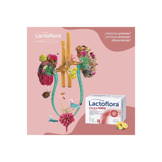 Lactoflora Ciscare Forte 10 sobres