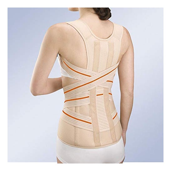 Orliman 3-Tex Lumbo Faja Sacrolumbar Alta 6213 Talla 2 1 Unidad