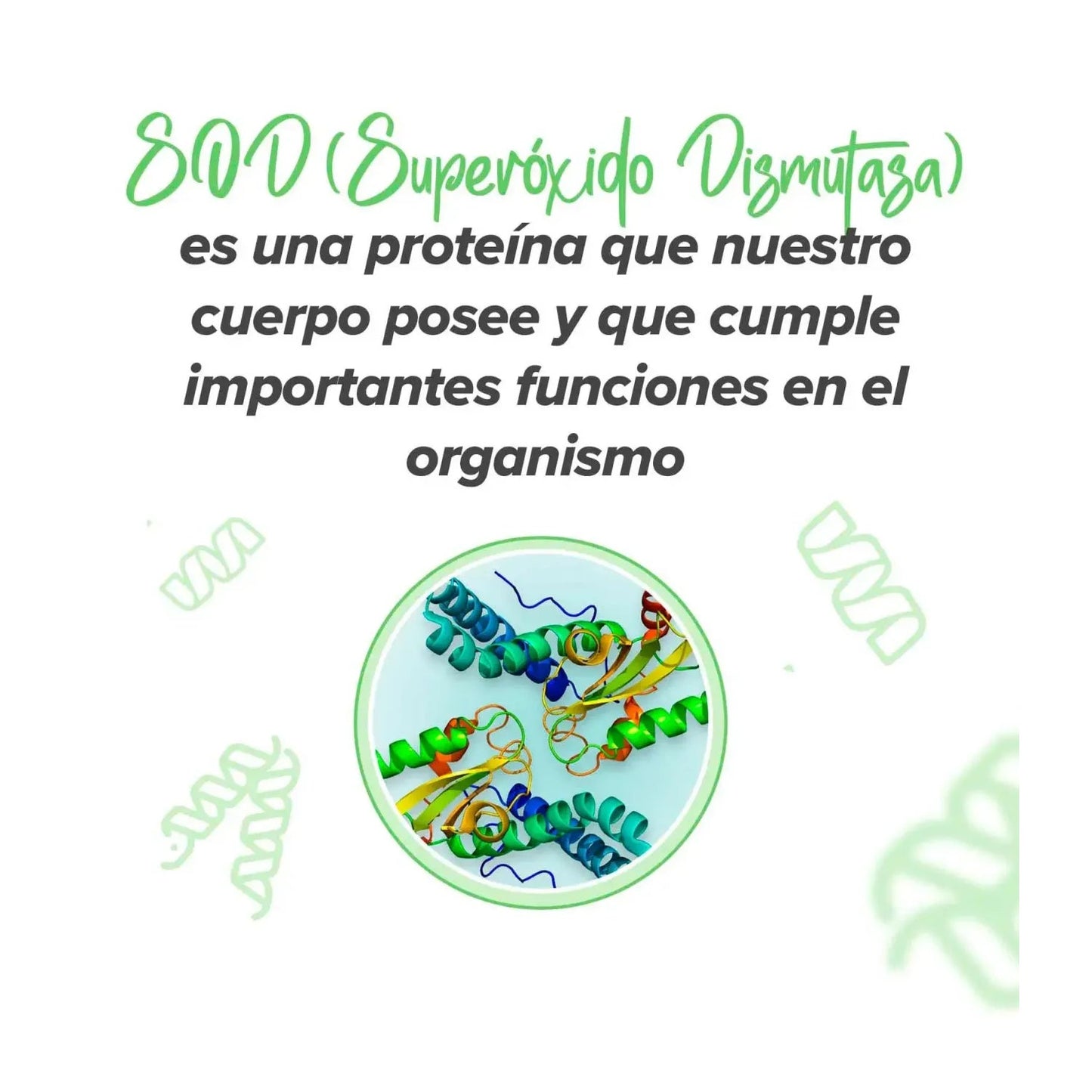 HSN SOD Superóxido Dismutasa Tetrasod® 25mg 60vcaps