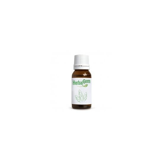 Herbalgem Baume Intense Consoude 30ml