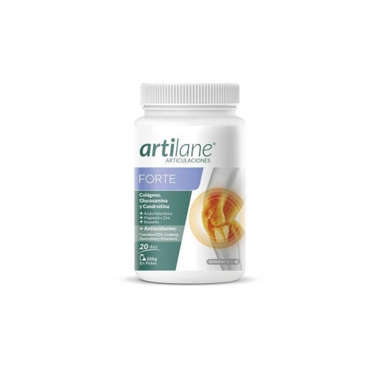 Artilane Forte Polvo 220g