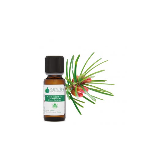 Voshuiles Aceite Esencial de Terebentina 10ml