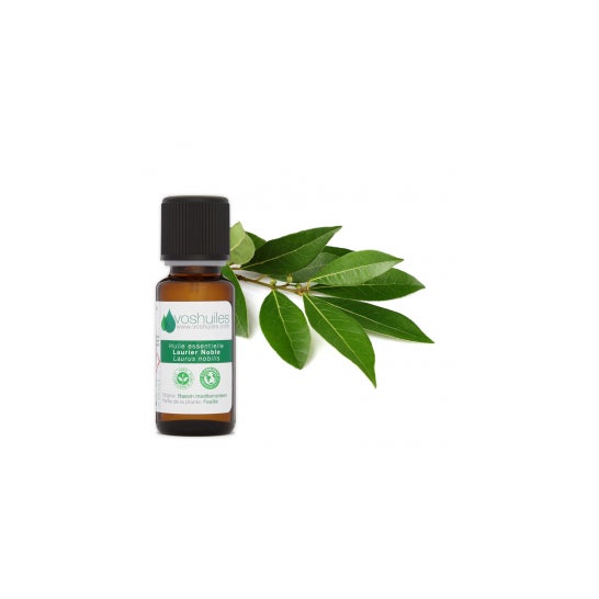 Voshuiles Aceite Esencial de Laurel Noble 20ml