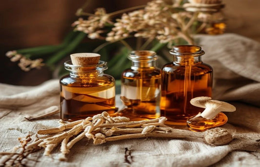 reishi beneficios shelo nabel