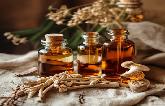 reishi beneficios y propiedades
