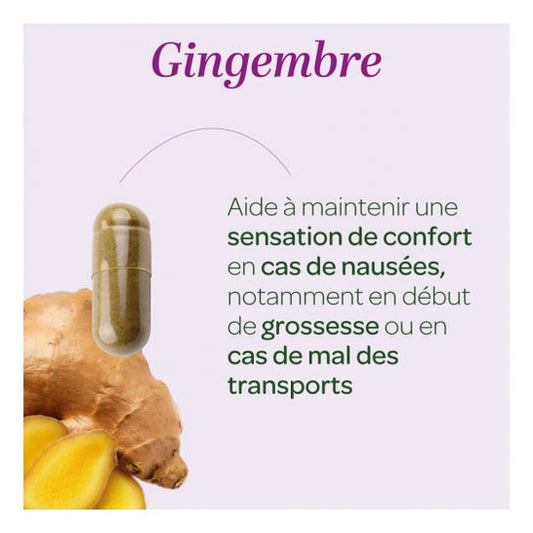 Superdiet Jengibre Bio 45 caps