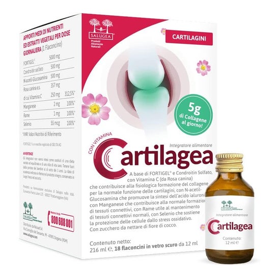 Salugea Cartilagea 18x12ml