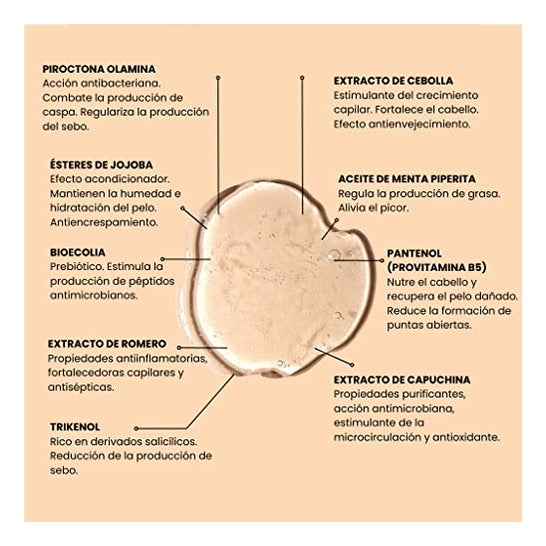 Mi Rebotica Champú Anticaspa 250ml